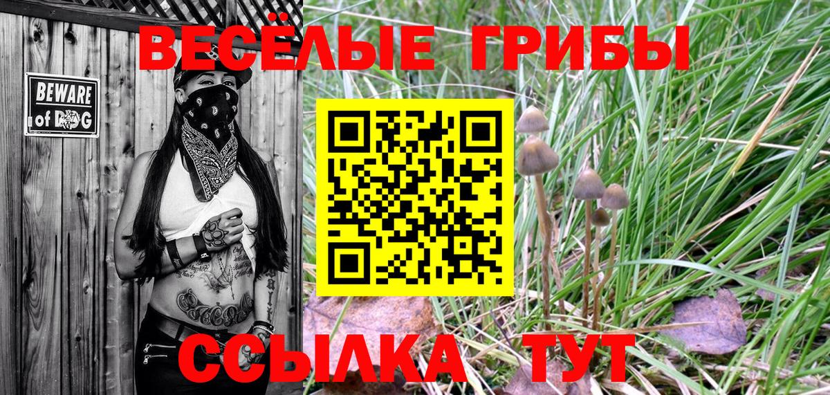 Мытищи  Галлюциногенные грибы Magic Shrooms  Вход с VPN  Псилоцибиновые грибы ЛСД 