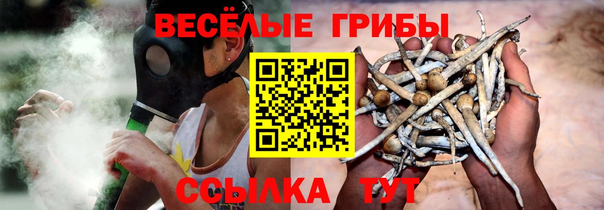 Галлюциногенные грибы мухоморы Мытищи